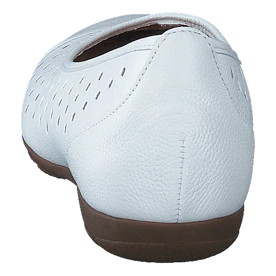64.169-21 White