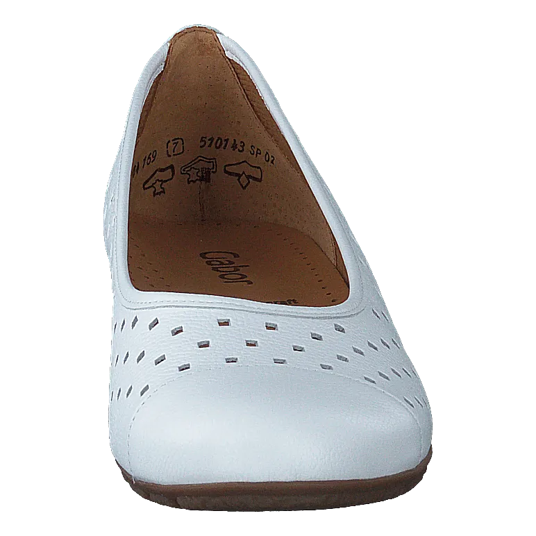 64.169-21 White