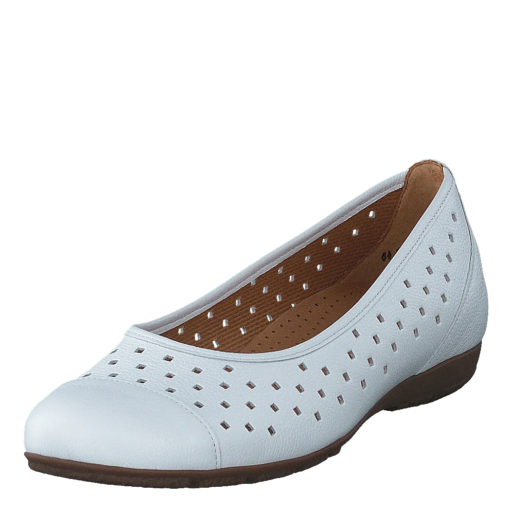 64.169-21 White