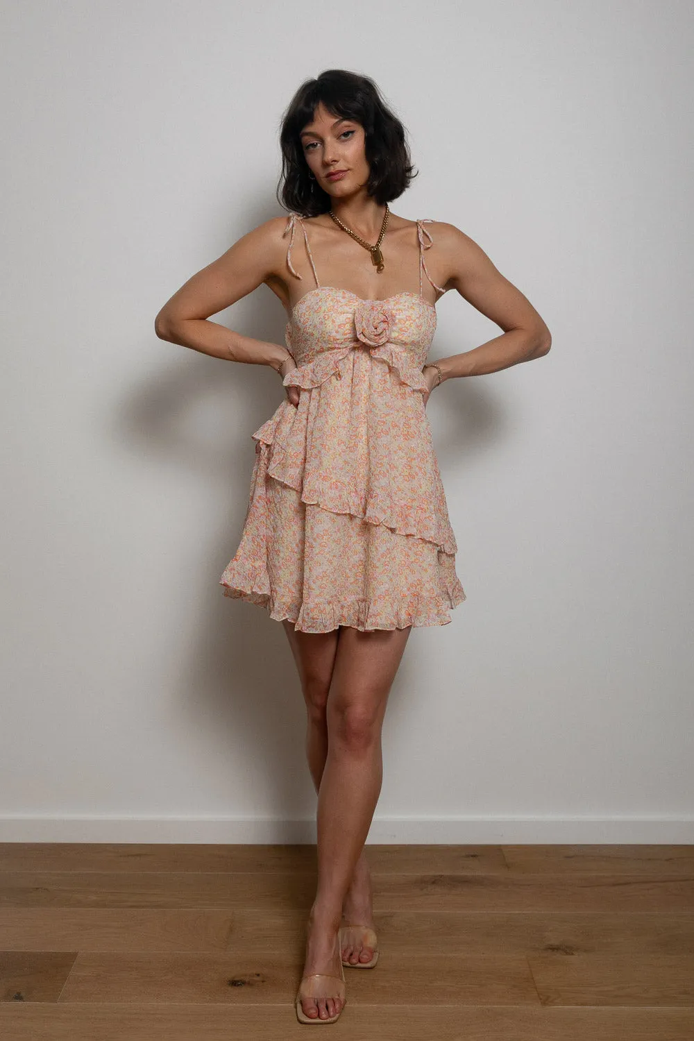 A Day in the Garden Mini Dress